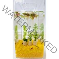 애완새우키우기세트+led자동청소어항꾸미기 마리모 수경식물수초키우기, 노란색 바닥제