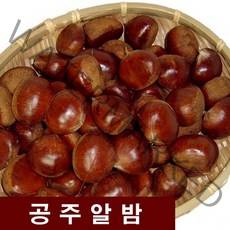 공주 알밤 1kg, 1개