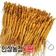 더굿진생 인삼 수삼 금산인삼 원수삼 난발삼 파삼 삼계 350g, 1개, (세척안함)식당알뜰형350g(55~70뿌리