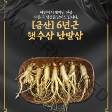 상시수확 금산 인삼 난발삼 300g(6~8뿌리) 인삼차 증정 100% 국내산 금산인삼시장 4-6년근 세척삼 못난이 가정용 알뜰형 인삼 당일배송, 300g (6~7뿌리), 1개