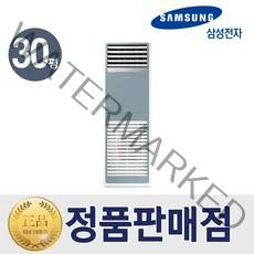 삼성 냉난방기 비스포크 스탠드 30평형 블루 AP110BSPPBH7S 특급설치