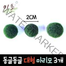 [미초] 마리모 (대형) 3개 세트 / 수경식물 / 새우 수초 / 모스볼 / 마리모