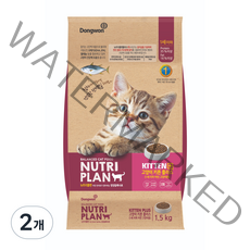 뉴트리플랜 어린 고양이용 고양이 키튼 플러스 건식사료, 1.5kg, 2개, 소