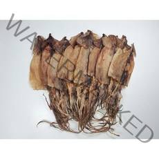 파품건오징어 500g 대용량, 1개