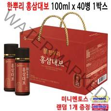 CJ 한뿌리 홍삼대보 100ml 40병 안전포장 명절 직원 부모님 건강음료 선물세트, 4개