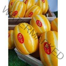 산지직송 달콤 성주 꿀 참외 가정용 2kg/3kg/4kg/5kg/10kg, 가정용 소과 3kg, 1개