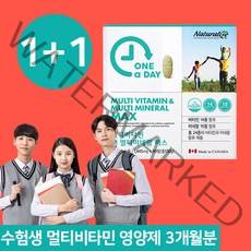1+1 수험생 영양제 중학생 고등학생 피로회복 멀티 종합 비타민 3개월분, 1개, 90정