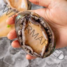 완도 산지직송 활 전복 선물세트 선물용 특대 500g 1kg, 12번 부직포+보자기