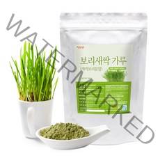 갑당약초 국내산 새싹보리 분말 가루 300g 보리새싹 보리어린잎, 1봉