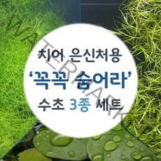 치어 은신처용 꼭꼭숨어라 수초3종 세트, 1세트