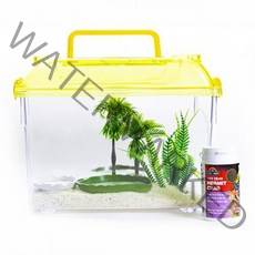 미미네 아쿠아 소라게 키우기 세트, 혼합색상