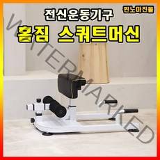 찐노마진몰 홈짐 스쿼트머신 자세교정 복근운동기구 윗몸일으키기 홈트 squat 하체운동 세트, 블랙