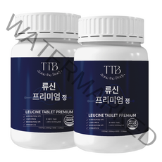 톤더바디 식약처인증 류신 단백질 캡슐 프리미엄 정 1000mg 60g 유청 근육 타블렛 로이신 보충 해썹 HACCP, 2개, 120정