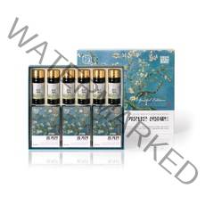 한삼인 기운담은 선물세트 + 쇼핑백, 1350ml, 1세트, 홍기천 50ml x15포 + 홍삼기력 100ml x6병