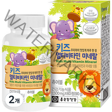 종근당건강 키즈 멀티비타민 미네랄, 60정, 90g, 2개