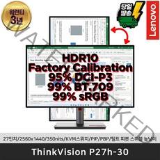 [레노버]모니터ThinkVision P27h-30 27인치/350nits/KVM스위치/PIP/틸트 피봇 스위블 높낮이, 블랙