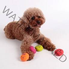 딩동펫 반려동물 만득이 장난감 4종 세트, 랜덤발송, 1세트