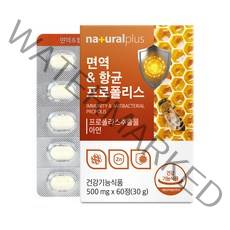 내츄럴플러스 면역 항균 프로폴리스, 60정, 1개