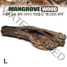 자연과사람 맹그로브 유목 (대)