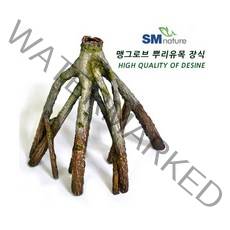 SM 맹그로브 뿌리유목장식 [072] 중