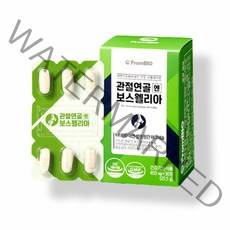 프롬바이오 보스웰리아 관절 연골엔 보스웰리아 효능, 보스웰리아 1박스 (15일분)