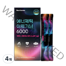 뉴트리가든 에너제틱 아르기닌 6000 15p, 15포, 300g, 4개
