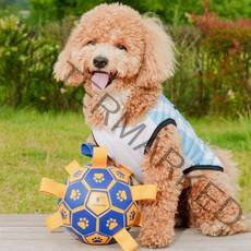 하다펫 강아지 축구공 장난감, 댕댕볼 19cm 대형 (벨 내장o)