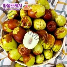 따봉프레시 3차선별 초고당도 사과대추 황제 생대추, 1개, 500g