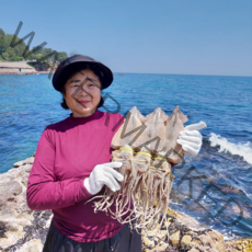 오징어엄마 국내산 마른 오징어 건오징어 건조오징어, 1kg(왕특대, 10마리), 1개
