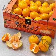 GAP 인증 해풍맞은 올레길 당도선별 감귤, 2.5kg, 1개