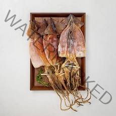 현대푸드 동해안 건오징어 5미, 225g, 1봉