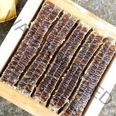 윤태준 꿀 벌집꿀 4kg 가정용 (일반포장) 벌집꿀+아이스박스