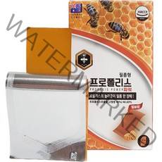 필름형 프로폴리스 파워 30p, 30매입, 1개
